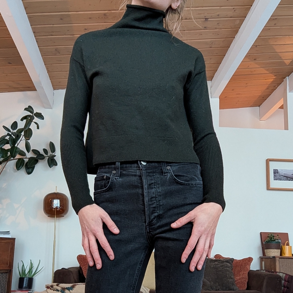 Wilfred Dark Green Turtleneck Sweater